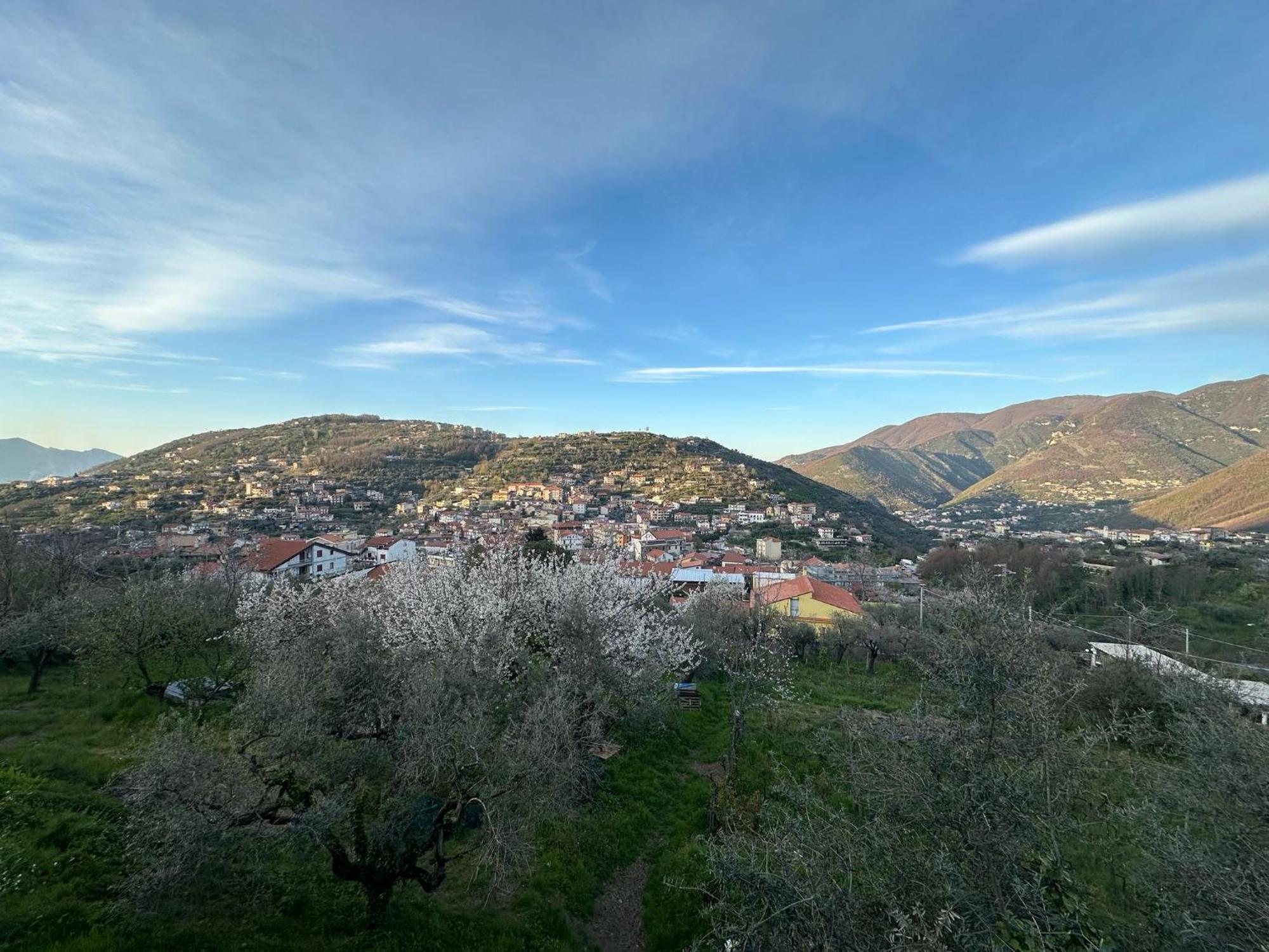 Bed And Breakfast Il Ceppo Wild Pimonte Eksteriør bilde