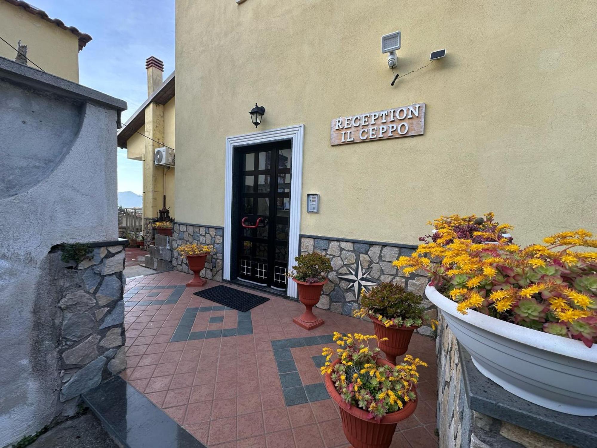Bed And Breakfast Il Ceppo Wild Pimonte Eksteriør bilde